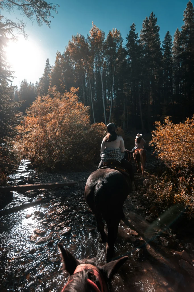 colin-lloyd-gDU1vWoIDGQ-unsplash